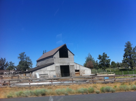 Old barn - house, field, california, barn