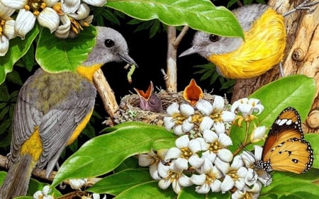 bird feeding - birds, nature, feeding, green