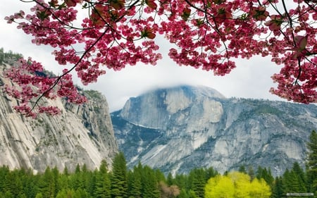 Breathtaking View - nature, valley, sky, trees, blooms, mountains