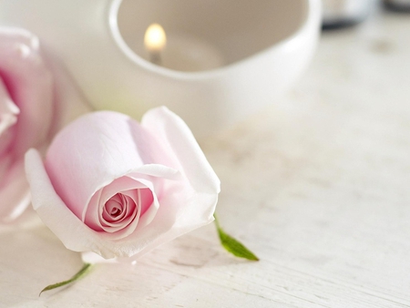 the rose with candle - nice, love, passion, fresh, candle, gift, soft, delicate, light, pink rose, rose, lovely, pink, flower