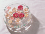 flowers in water