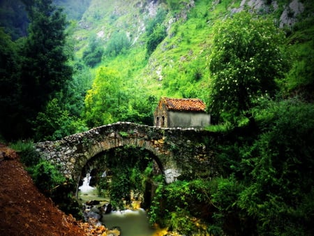 Old stone bridge - house, trees, stone, water, creek, forest, mountain, river, nature, green, old, bridge