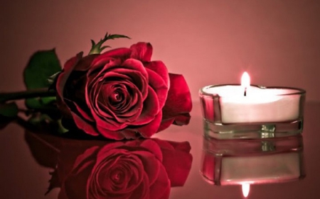 Romance - valentine day, heart, red rose, romantic, photography, candle, romance, love, red, valentine, rose