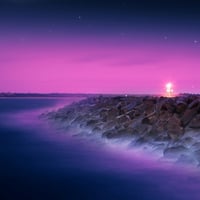 Purple night