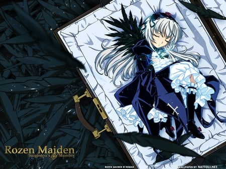 Rozen maiden - bed, girl, female, dream, black, rozen, sleep, anime, maiden