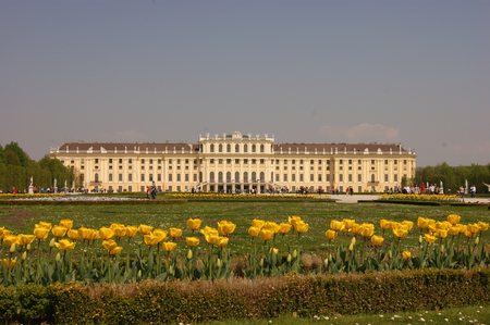 castle at spring - flowers, spring, castle, beautiful