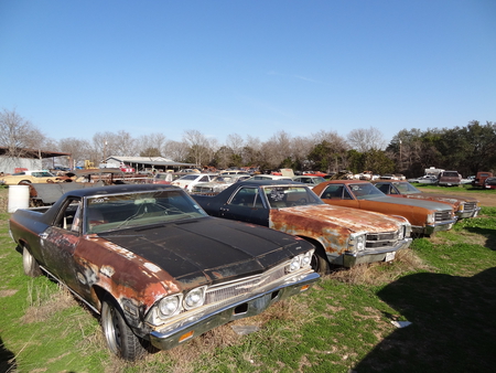 El Caminos Resting at The Little Valley Auto Ranch Belton Texas - el camino, el caminos, chevrolet, chevy