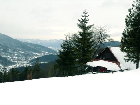 Polish Winter - house, trees, winter, zima, poland, polska, mountains