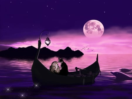 THE OWL AND THE PUSSYCAT - moon, night, ocean, pink, stars, cat, owl, dolphins, purple, sky, animals, canoe