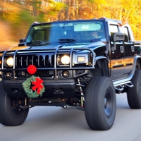 H2 in REINDEER MODE