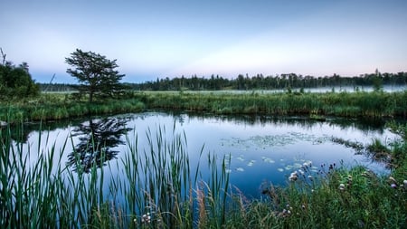 Beautiful Lake - water, blue, beautiful, grass, tree, wonderful, green, lake, nice