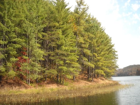 a fall day on the lake. - water, fall, lake, tree