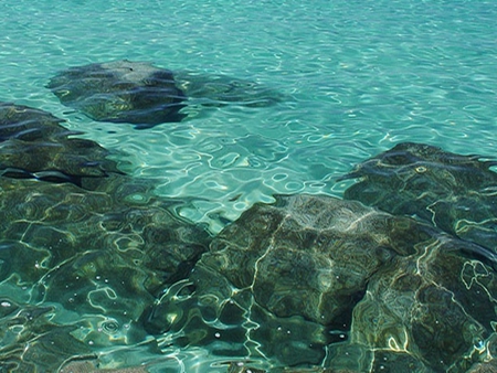 Sparkling Water - water, rock, ocean, bahamas