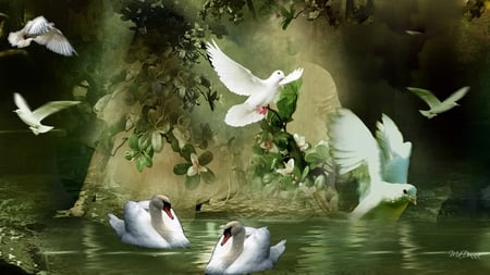 Peaceful Waters - love, swans, swim, couple, peace, water, fantasy, doves, green, flowers, vines