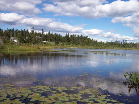 Serene Day - whelly lake, summers day, calm day, lake view