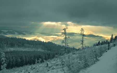 Let There be Warmth - forest, winter, clouds, light, hills, snow