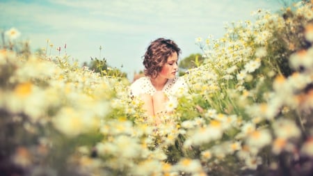 Field of Daisies - dreaming, flowers, field, daisies, girl, sitting