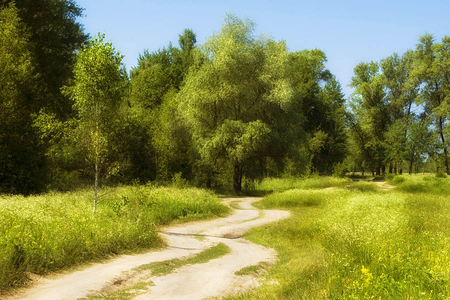 Summer Road - windy, trees, green, summer, road, grass