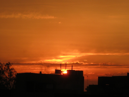 sunset - tree, buildings, clouds, sun