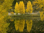 Lake Reflection