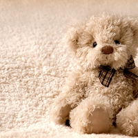 Cute teddy bear