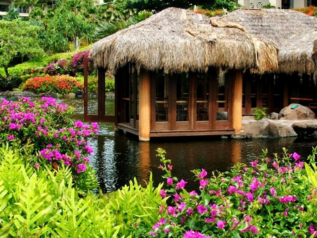 Bungalow in water - water, flowers, river, nature, tropical, bungalow, exotic, plants, place