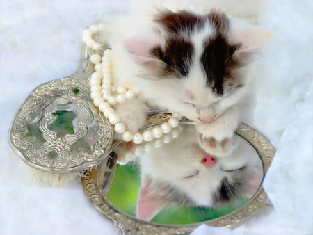 Reflection of the beautiful lady - lafy, pearls, beautiful, reflection, sweet, cat, fluffy, mirror, kitten, funny, cute, adorable, kitty