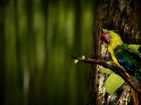 pretty pretty parrot - nature, feathers, photography, wings, animal, tropical, bird