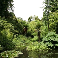 Lost Gardens of Heligan,  Cornwell