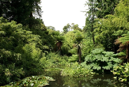 Lost Gardens of Heligan,  Cornwell - water, garden, trees, plants