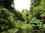 Lost Gardens of Heligan,  Cornwell