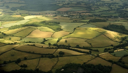 Quilted Landscape, Devon - field, patchwork, land, scapes