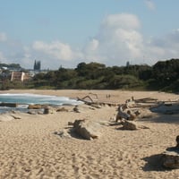 Beach, Shelly Beach, KZN, South Africa