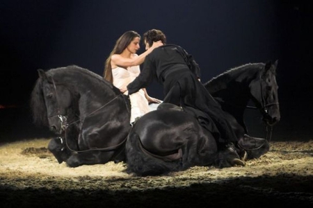 ~ ROMANCE ~ - woman, love, horse, animals, man, romance