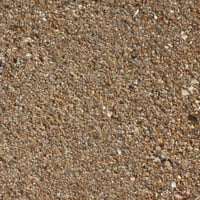 Sand & shells on Shelly Beach