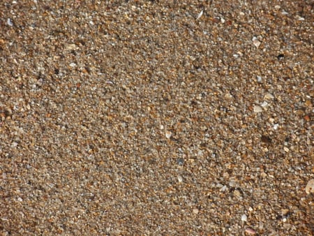 Sand & shells on Shelly Beach - shells, beach, sand, shelly beach