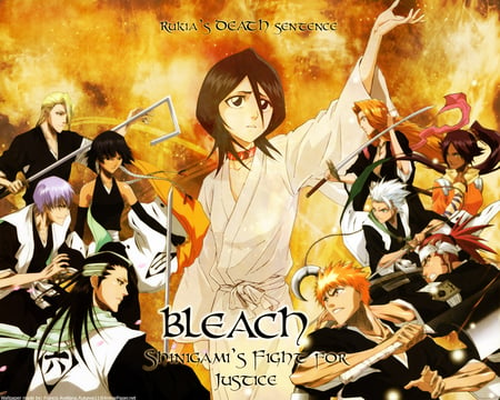 Bleach - samuri, fight, bleach, rukia