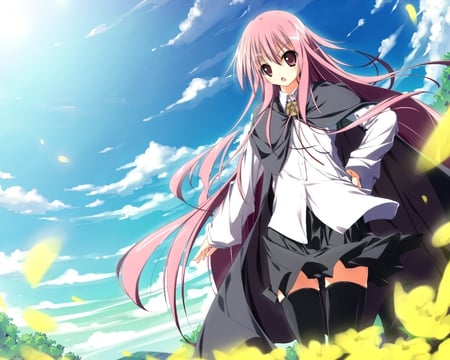 Louise Francoise - no, tsukaima, anime, zero