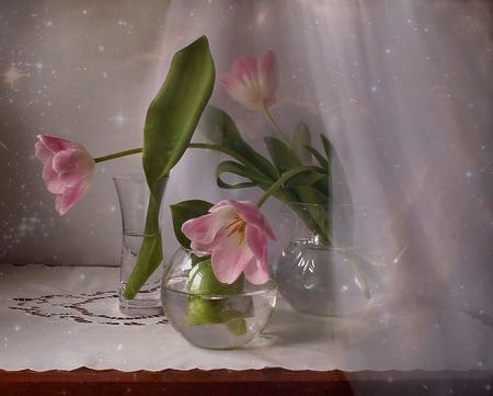 Soft and Delicate - tulips, delicate, soft, simple, lovely, pink