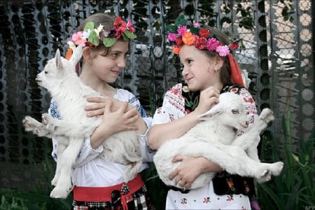 Cute girls - child, animals, pretty girls, cute, flowers, lovely, goats, kids