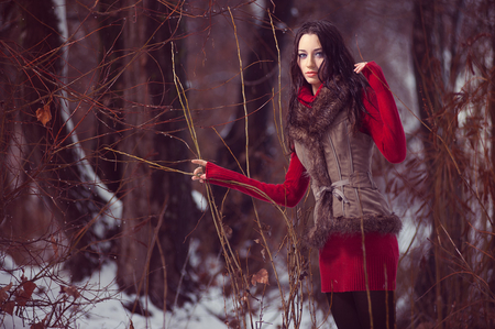 Attractive Girl - fur, girl, woods, red, beautiful, winter, attractive, dress