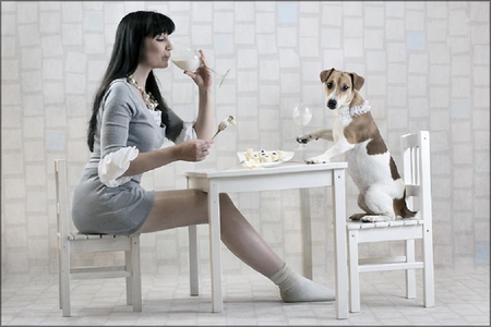 Funny date - pretty, photography, girl, table, dog, chair, dine, funny, funny animals, sexy, animals