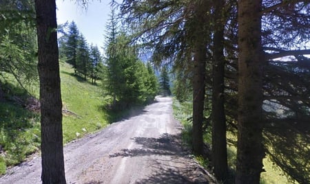 Italy - trees, hills, timber, road, italy