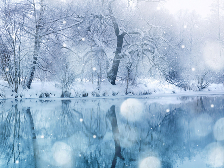 WINTER - snow, lake, winter, nature