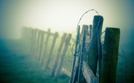 barbed wire - fenace, photography, fog, closeup, macro, nature, wood