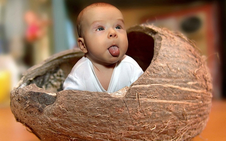 So That\\'s Where They Come From - coconut, baby, tongue, cocunut, shell, sweet, cute