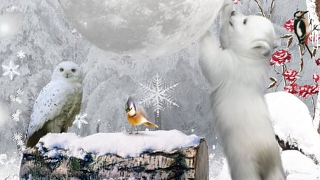 Reach for the Moon - sky, winter, polar bear, bird, cold, snow, full moon, log, hope, wood pecker, owl