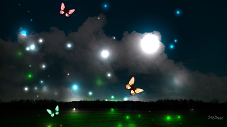 Night Lights - clouds, glow, horizon, trees, bright, lights, butterflies, sky