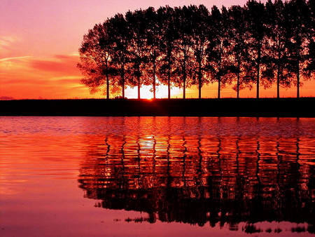 Sunlight among trees - clouds, sunlight, trees, water, among, reflection, glow, river, nature, red, lake, sky