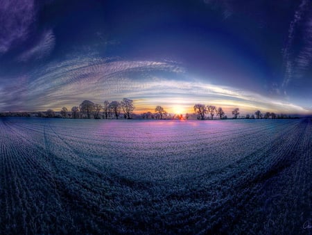 Lavender field at sunrise - sky, sunruse, clouds, field, lavender, sunset, nature